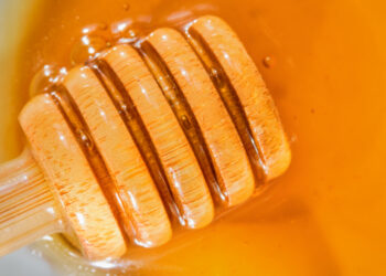 Mantap Banget, Ini Manfaat Madu Buat Kesehatan, Sudah Tahu?