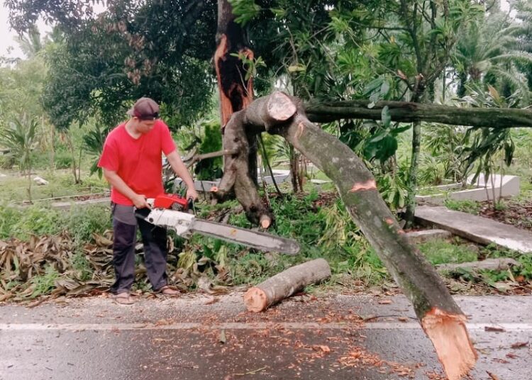 Cuaca Ekstrem Dominasi Bencana, BNPB Minta Waspada