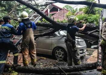Pohon Tumbang di Kota Bandung Menimpa 2 Mobil