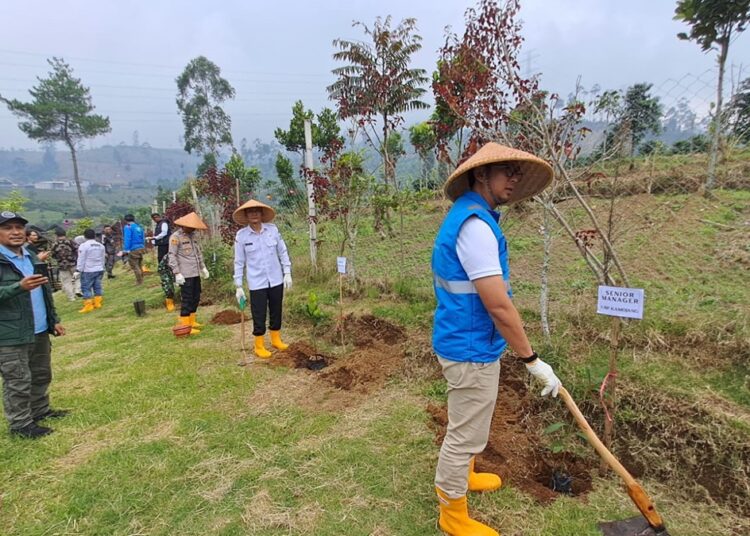 Peringati Hari Bumi 2026, 1000 Pohon Ditanam di Pasirwangi, Polisi, TNI hingga Warga Turun Tangan