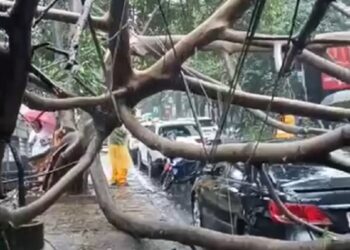 Hujan Lebat Disertai Angin Kencang Terpa Bandung, Papan Reklame dan Pohon Bertumbangan
