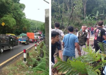 Pohon Tumbang di Turunan Nagreg,  Kendaraaan ke Arah  ke Garut dan Tasik   Sempat Lumpuh