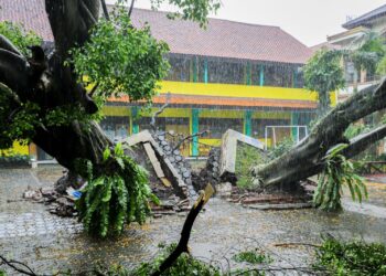 Wali Kota Bandung Tinjau Lokasi Bencana, Pastikan Respons Cepat Lintas Dinas