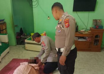 Pria Tewas Tersengat Listrik Saat Tebang Pohon