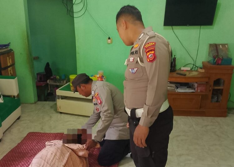 Pria Tewas Tersengat Listrik Saat Tebang Pohon