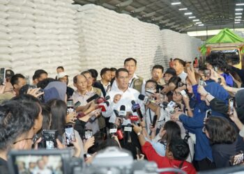 Sejarah Baru, Stok Beras Pemerintah Capai 5 Juta Ton Lebih, Aman Hingga April 2027