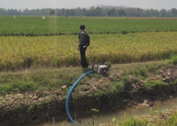 Potensi Kekeringan Menguat, Kementan Dorong Optimalisasi Pompa Air