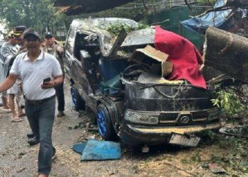 Innalillaahi, Mobil Tertimpa Pohon Tumbang, Satu Orang Tewas