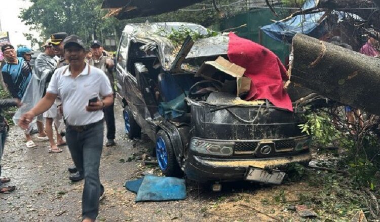 Innalillaahi, Mobil Tertimpa Pohon Tumbang, Satu Orang Tewas