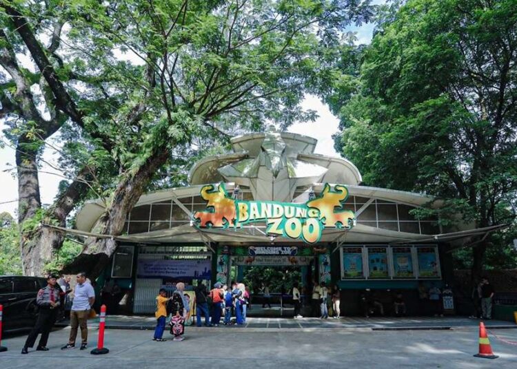 Pemprov Jabar Buka Peluang Kelola Kebun Binatang Bandung, Ini Kata KDM