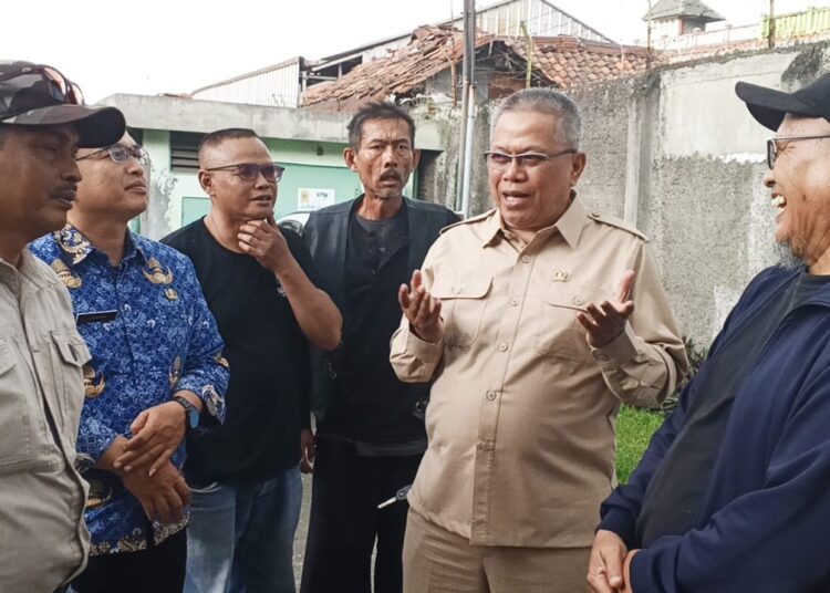 Deni Dorong Penguatan Sarana Penanganan Pohon Rawan Tumbang