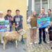 Berbagi di Momen Iduladha, JNE Sapa Insan Media Lewat Program Kurban Bersama