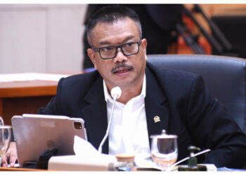 WHO Pantau Wabah Hantavirus, Masyarakat Diminta Lebih Waspada