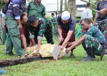 Kodim Kuningan Salurkan Hewan Kurban 2 Ekor Sapi dan 4 Ekor Kambing 9 Kodim Kuningan Salurkan Hewan Kurban 2 Ekor Sapi dan 4 Ekor Kambing