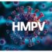 HMPV Menyebar Lewat Droplet, Ini Gejala dan Cara Pencegahannya 9 HMPV Menyebar Lewat Droplet, Ini Gejala dan Cara Pencegahannya