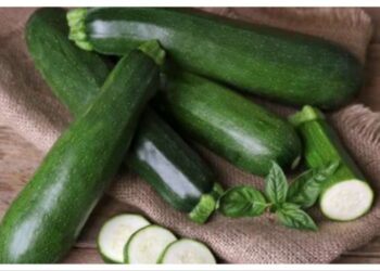Zucchini, Superfood Hijau yang Baik untuk Pencernaan dan Jantung 4 Zucchini, Superfood Hijau yang Baik untuk Pencernaan dan Jantung