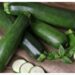 Zucchini, Superfood Hijau yang Baik untuk Pencernaan dan Jantung 8 Zucchini, Superfood Hijau yang Baik untuk Pencernaan dan Jantung