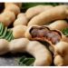 Tak Hanya Penyedap Masakan, Asam Kandis Juga Baik untuk Kesehatan 8 Tak Hanya Penyedap Masakan, Asam Kandis Juga Baik untuk Kesehatan
