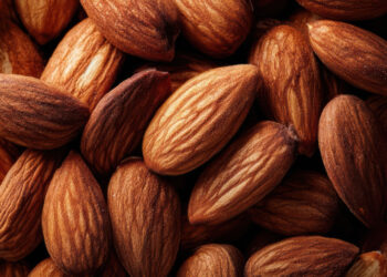 Murah dan Berkhasiat! Cek Manfaat Kacang Almond Buat Tubuh 1 Murah dan Berkhasiat! Cek Manfaat Kacang Almond Buat Tubuh
