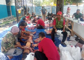TNI Kawal Ketat Pendistribusian Ribuan Kantong Daging Qurban Untuk Warga, Dhuafa, dan Anak Yatim 5 TNI Kawal Ketat Pendistribusian Ribuan Kantong Daging Qurban Untuk Warga, Dhuafa, dan Anak Yatim