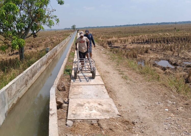 Petani Pangkalanpari, Sulap Limbah Beton Jadi Akses Jalan Menuju Sawah.