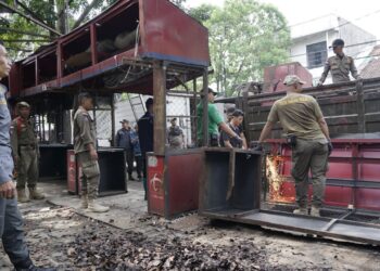 Penertiban PKL Cicadas Berjalan Humanis, Pemkot Utamakan Dialog 2 Penertiban PKL Cicadas Berjalan Humanis, Pemkot Utamakan Dialog