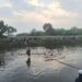 Tenggelam ke Sungai di Sapan Tegalluar, Wildan dan Darul, 2 Pelajar SMP Ditemukan Tewas 9 Tenggelam ke Sungai di Sapan Tegalluar, Wildan dan Darul, 2 Pelajar SMP Ditemukan Tewas