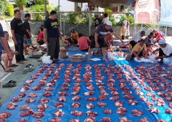 Ratusan Hewan Kurban Sapi dan Kambing Dinikmati Warga Pedesaan 2 Ratusan Hewan Kurban Sapi dan Kambing Dinikmati Warga Pedesaan