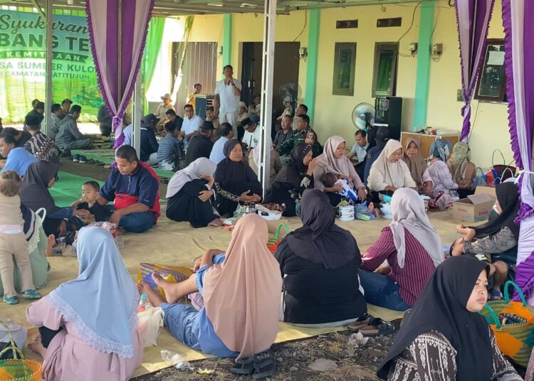 Syukuran Tebang Tebu Desa Sumber Kulon, Petani Targetkan Hasil Maksimal dan Perluas Lahan Garapan
