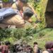 Krida Reksawana Menanamkan Semangat Cinta Hutan Sejak Dini