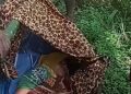 Jalan Rusak, Janji Mulus: Catatan Duka dari Aek Nabara