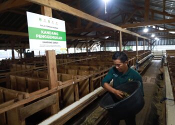 BAZNAS RI Hadirkan Program Kurban Berkah Berdayakan Desa 2026 6 BAZNAS RI Hadirkan Program Kurban Berkah Berdayakan Desa 2026