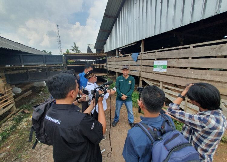 BAZNAS RI Perkuat Digitalisasi Kurban 2026, Masyarakat Bisa Berkurban Mudah, Aman dan Berdampak