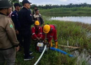 Antisipasi Karhutla Dipicu El Nino, Kementan Inspeksi Kesiapan Perusahaan Sawit 5 Antisipasi Karhutla Dipicu El Nino, Kementan Inspeksi Kesiapan Perusahaan Sawit