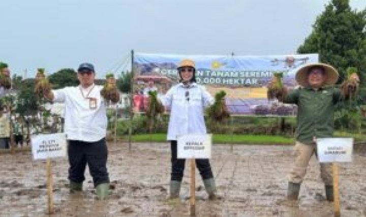 Tanam 50 Ribu Hektare Serentak, Kementan Pacu Produksi Lewat Optimasi Lahan 1 Tanam 50 Ribu Hektare Serentak, Kementan Pacu Produksi Lewat Optimasi Lahan