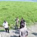 Gara-gara Eceng Gondok di Waduk Darma Kunjungan Wisatawan Menurun