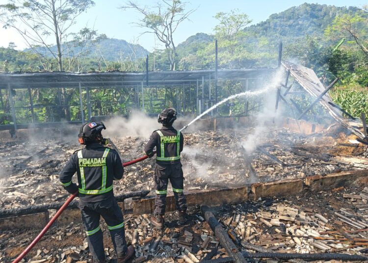 6.300 Ayam Petelur di Haurkuning Hangus Jadi Abu 1 6.300 Ayam Petelur di Haurkuning Hangus Jadi Abu