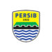 Ada 2 Posisi! Persib Bandung Buka Loker Terbaru, Ini Syaratnya