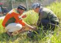 Cegah Bencana Alam, DPC RENTAN Hijaukan Kawasan Cikajang Garut 15 Cegah Bencana Alam, DPC RENTAN Hijaukan Kawasan Cikajang Garut