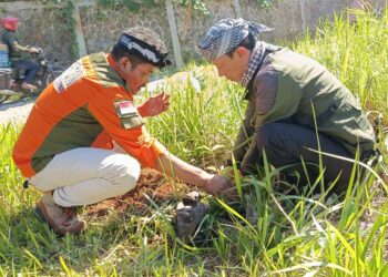 Cegah Bencana Alam, DPC RENTAN Hijaukan Kawasan Cikajang Garut 6 Cegah Bencana Alam, DPC RENTAN Hijaukan Kawasan Cikajang Garut