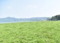 Hamparan Liar Eceng Gondok di Waduk Darma Akibat Pembiaran 16 Hamparan Liar Eceng Gondok di Waduk Darma Akibat Pembiaran