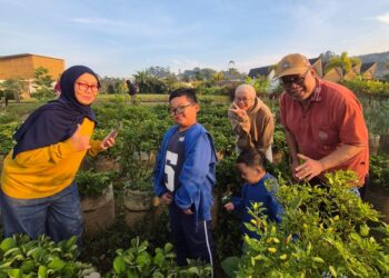 Lanjut Usia Yang Sehat, Aktif, Berdaya dan Bermartabat