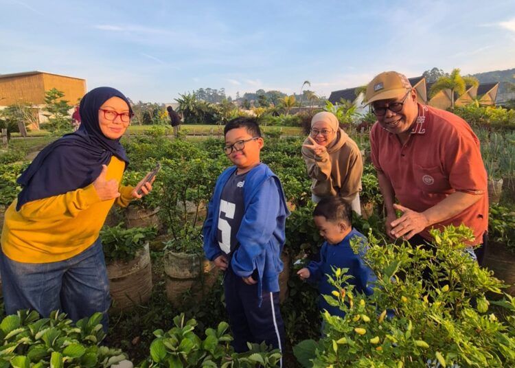 Lanjut Usia Yang Sehat, Aktif, Berdaya dan Bermartabat 1 Lanjut Usia Yang Sehat, Aktif, Berdaya dan Bermartabat