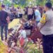 Satu dari 5 Korban Pohon Tumbang Depan Unpad Jatinangor Sumedang Meninggal Dunia 8 Satu dari 5 Korban Pohon Tumbang Depan Unpad Jatinangor Sumedang Meninggal Dunia