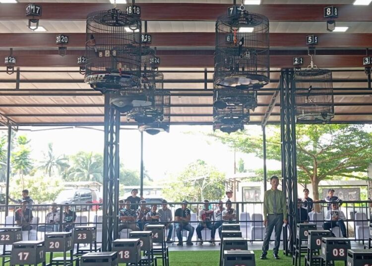 Kicau Mania Kapolres Cup, 14 Kelas Adu Gacor Bikin Peserta di Priangan Bergemuruh 1 Kicau Mania Kapolres Cup, 14 Kelas Adu Gacor Bikin Peserta di Priangan Bergemuruh