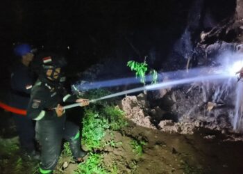 Pohon Angsana Disambar Petir Di Area Makam Keramat Petilasan Atya Kamuning 2 Pohon Angsana Disambar Petir Di Area Makam Keramat Petilasan Atya Kamuning