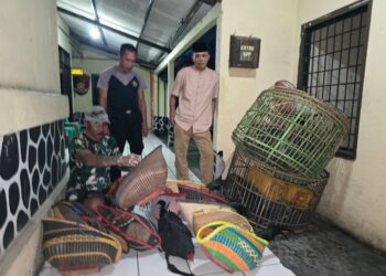 Polisi Gerebek Arena Sabung Ayam di Kebun Bambu, Pemilik Kabur Kocar Kacir, Barang Bukti Diangkut ke Mapolsek 7 Polisi Gerebek Arena Sabung Ayam di Kebun Bambu, Pemilik Kabur Kocar Kacir, Barang Bukti Diangkut ke Mapolsek