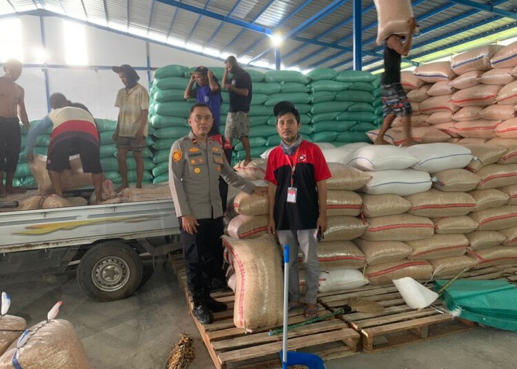Polres Majalengka Salurkan 950 Ton Jagung ke Bulog, Dukung Swasembada Pangan Nasional 1 Polres Majalengka Salurkan 950 Ton Jagung ke Bulog, Dukung Swasembada Pangan Nasional