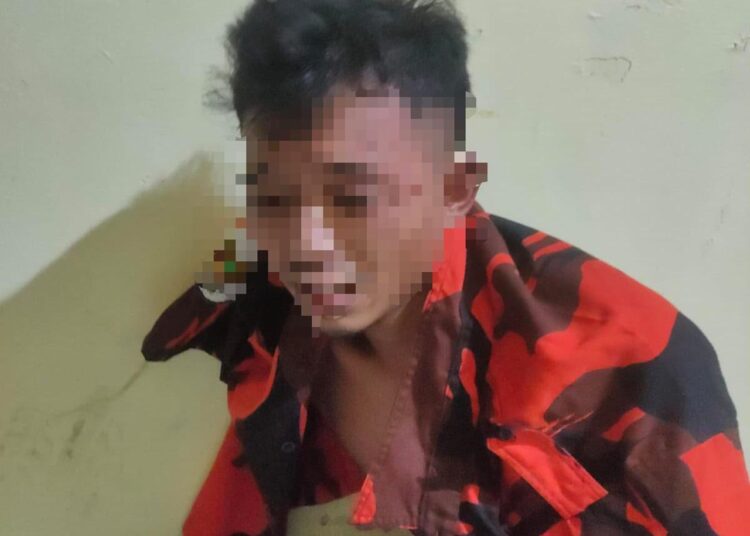 Curi HP dan Gasak Warung, Maling Dibekuk Polisi 1 Curi HP dan Gasak Warung, Maling Dibekuk Polisi