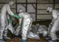 WHO: Wabah Ebola di Kongo Diduga Sudah Menyebar Sejak Januari Sebelum Terdeteksi 14 WHO: Wabah Ebola di Kongo Diduga Sudah Menyebar Sejak Januari Sebelum Terdeteksi